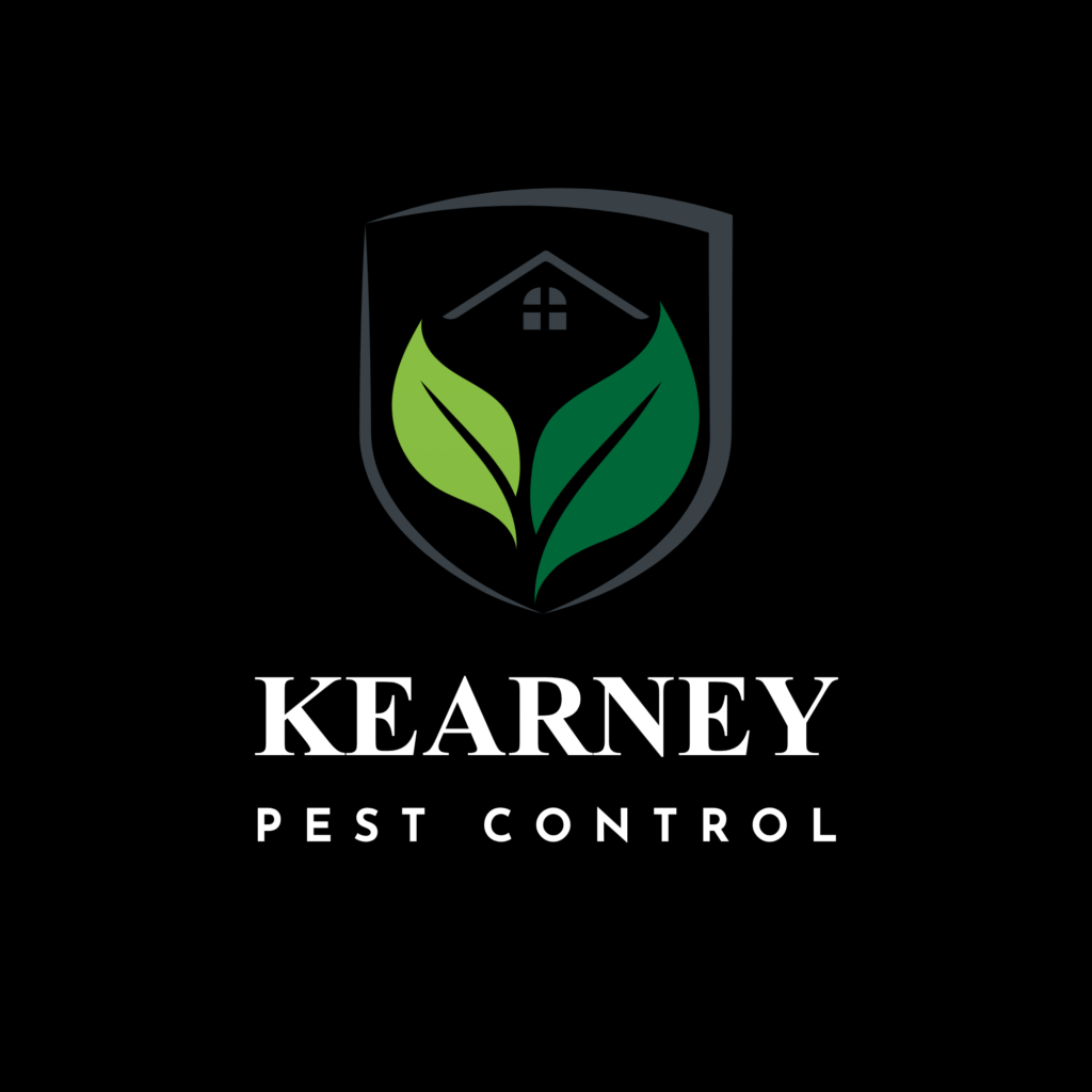 site logo