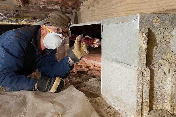 Wildlife control specialist crawl space inspection using a red flashlight to check foundation blocks