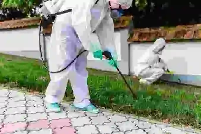Pest control technician inspecting a property in Kearney, Nebraska