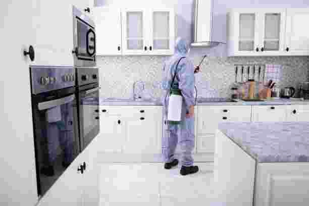Pest Removal technician treating a residential kitchen for pests