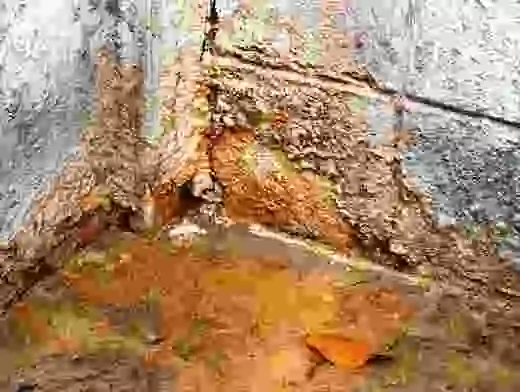 Dark water stains and structural dampness visible in the corner of a residential concrete foundation basement.