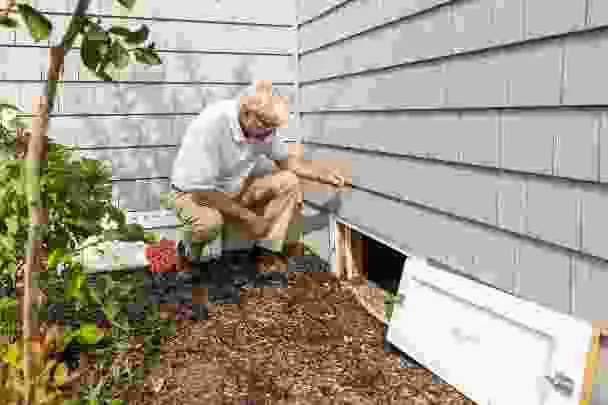 An inspector checking the crawl space and foundation during detailed property pest inspection services.