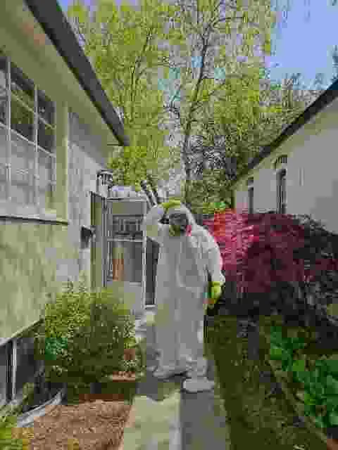 Pest management services technician