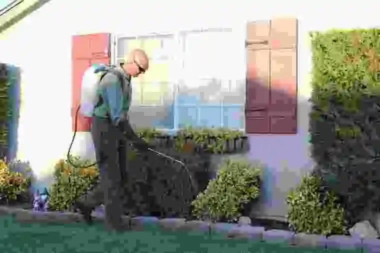 Pest control technician spraying plants in a residential yard